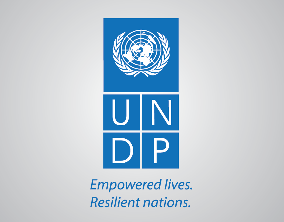 Climate Venture Scaler: A UNDP and IIX Initiative